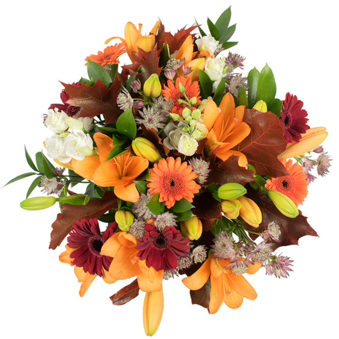 A richly detailed, overhead view presents a hand-tied autumn bouquet that feels like a pocket of late-season sunshine. Several fully open orange Asiatic lilies claim the eye first, their elegant, flared petals curving back to reveal subtle stamens and a luminous interior. Bright orange Gerbera daisies and contrasting deep burgundy gerberas break the warm tones into joyful, graphic points, each with a clear, dark eye that anchors the colour. Sprays of pale orange and green lily buds add movement and anticipation, while soft, ivory Lisianthus clusters bring a delicate, billowy texture that calms the composition. The bouquet's finer notes are supplied by lavender-grey Astrantia, whose star-shaped, spidery clusters introduce an intricate, feathery layer against the bolder shapes. Deeply lobed, reddish-brown leaves-reminiscent of oak or fallen maples-are woven through the flowers, reinforcing the impression of a woodland gathering; glossy green foliage and slim stems provide fresh contrast and structural rhythm. The arrangement is tightly packed and remarkably lush, photographed on a stark white backdrop so each shade-pumpkin, burgundy, cream, and green-reads with clarity and warmth. This design evokes harvest-time sentiments: gratitude, conviviality, and the comforting textures of seasonal foliage. I can see it as a Thanksgiving centrepiece for a dockside flat near Royal Victoria Dock or a thoughtful autumn gift for someone who loves the changing Thames-side light around the Emirates Air Line. The overall effect is both crafted and spontaneous, a bouquet that feels picked from the lane and arranged with careful, local knowledge.